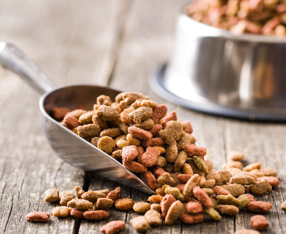 寵物食品品牌設計及寵物食品商標設計