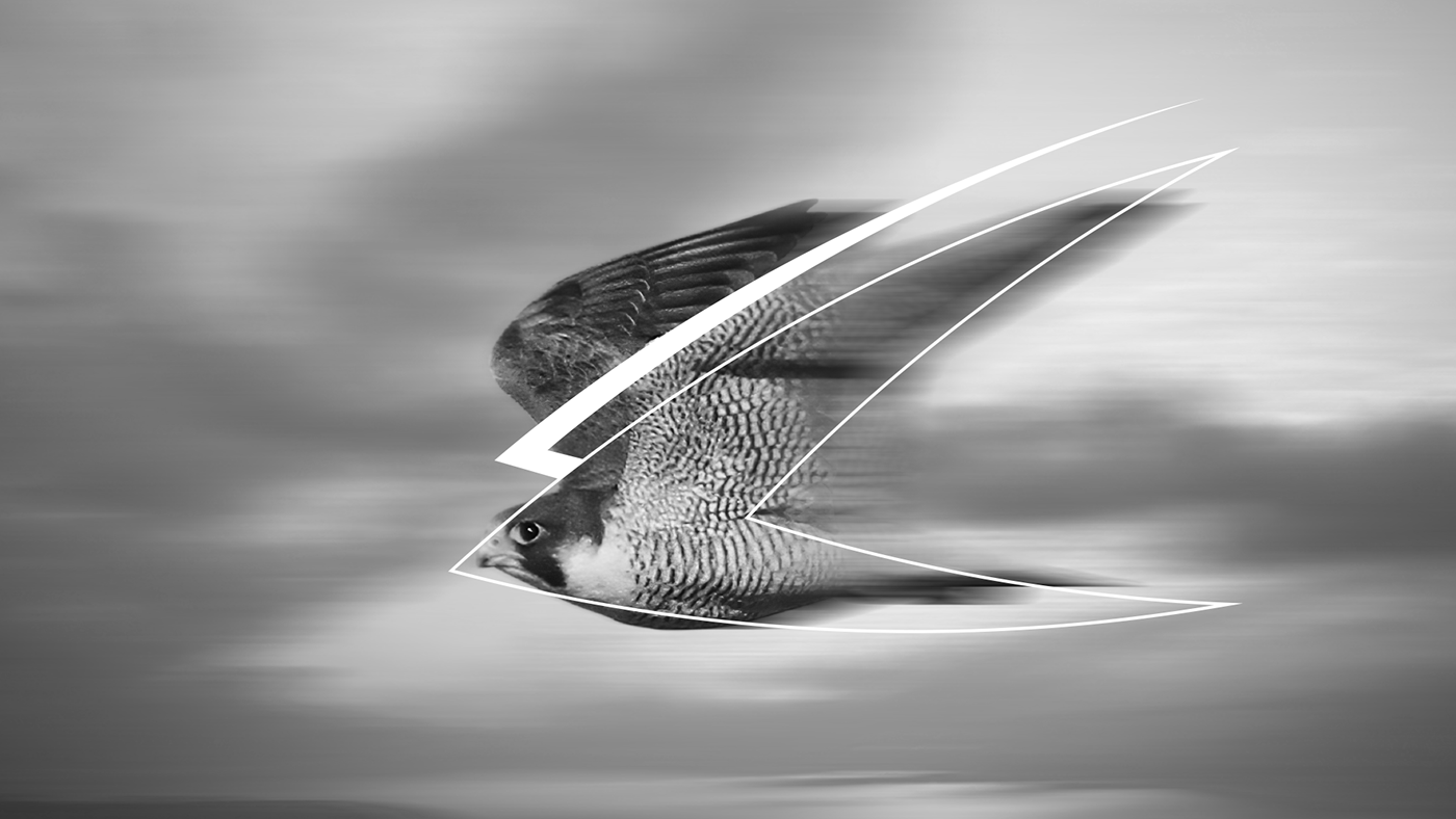 運動服裝品牌設計,運動品牌設計