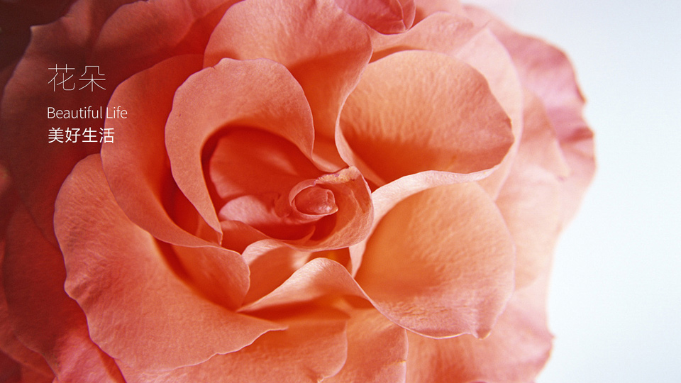 家居品牌VI設計