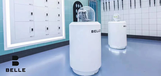 BELLE-知名女鞋品牌LOGO設(shè)計(jì)及品牌形象升級(jí)