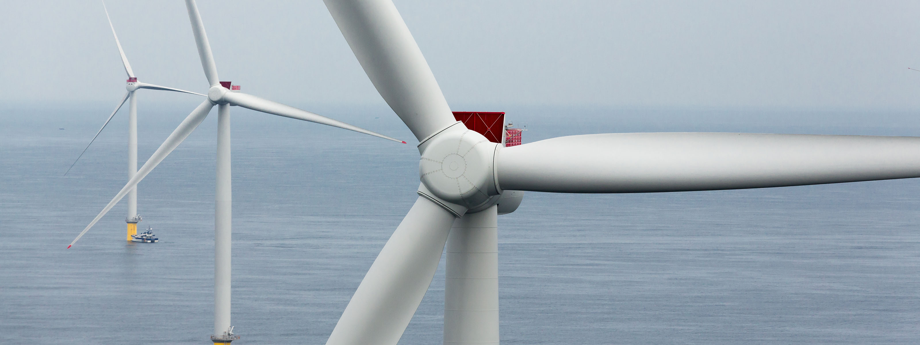 能源公司品牌設計配色