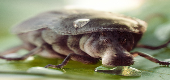 廣州平面設計之創意篇