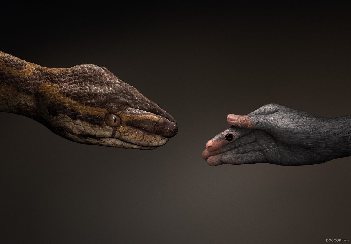 品牌設(shè)計(jì)