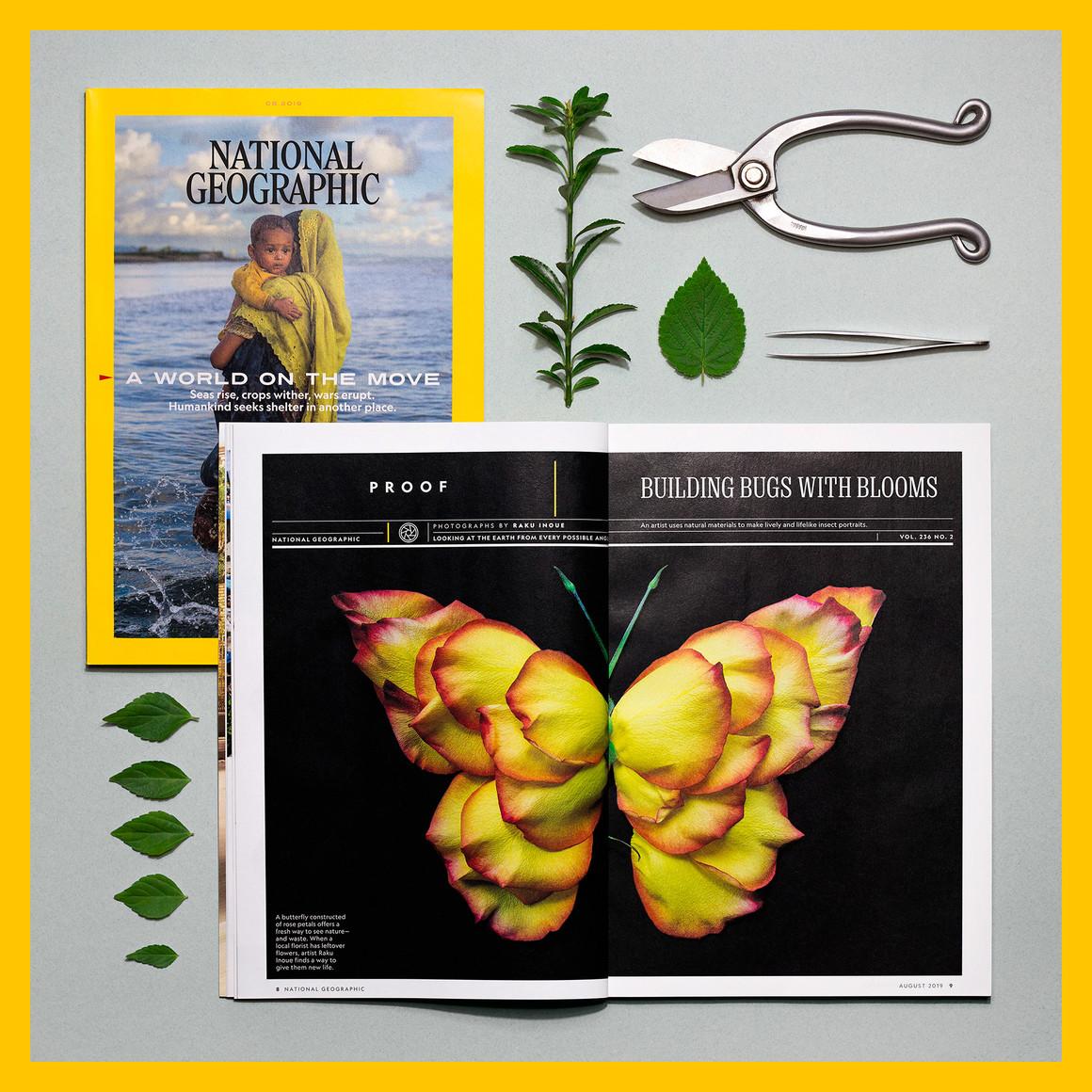 深圳海報設(shè)計