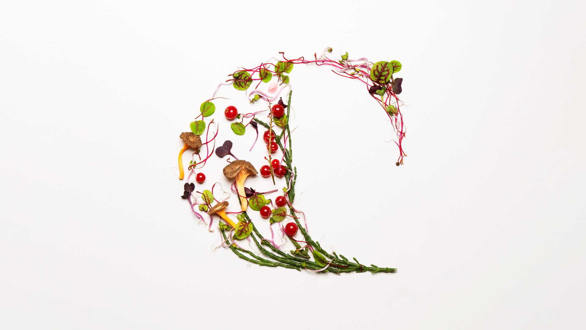 新健康零售食品彩田VI形象設(shè)計(jì) 新健康零售食品彩田VI形象設(shè)計(jì)