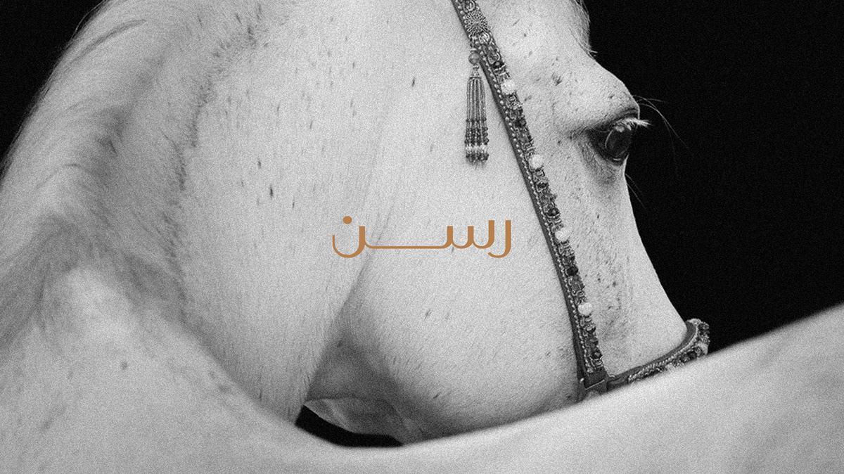 珠寶行業(yè)拉桑標(biāo)志設(shè)計(jì)案例賞析