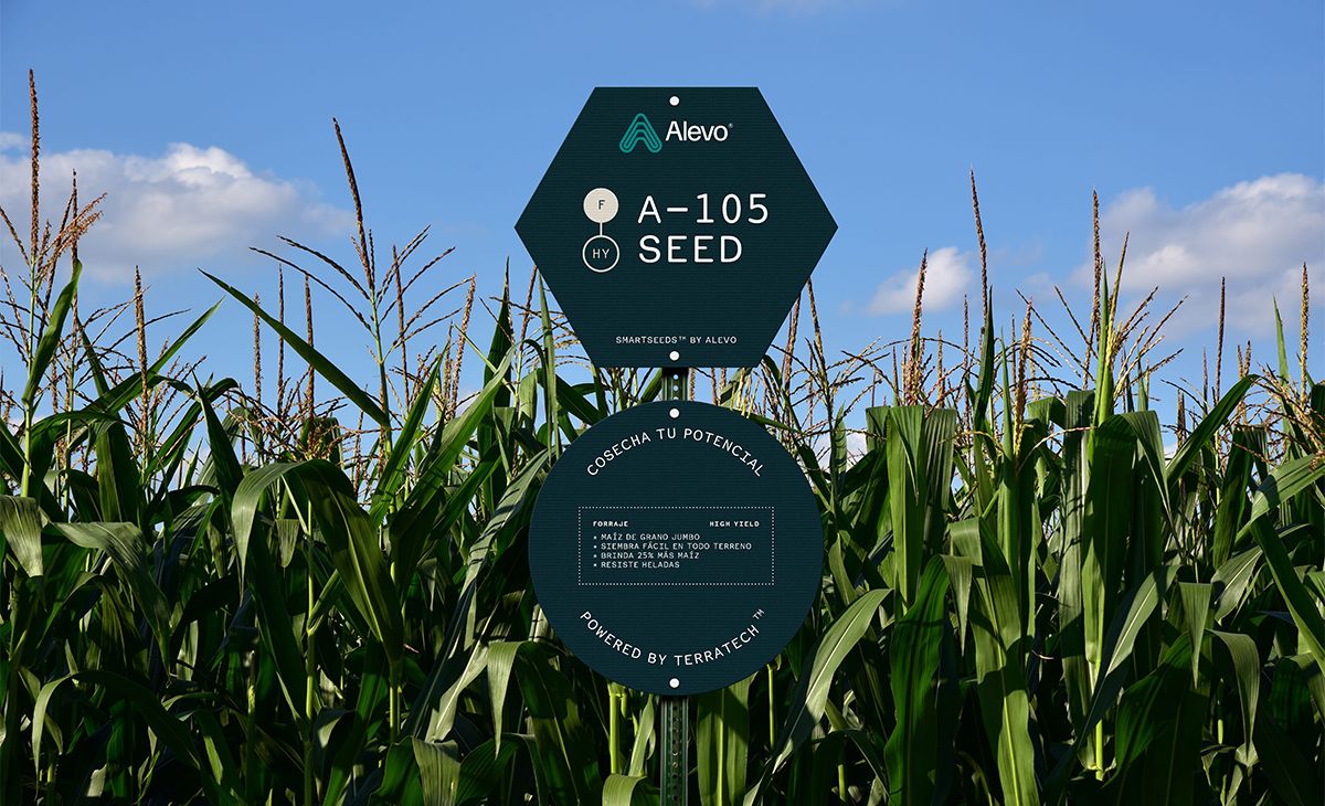 Alevo轉(zhuǎn)基因食品標(biāo)志設(shè)計