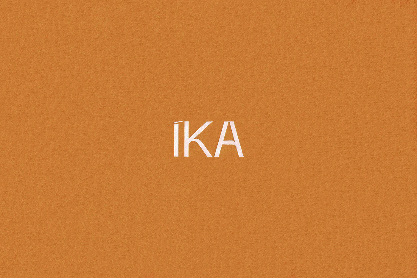 服裝配飾絲綢圍巾標志設計