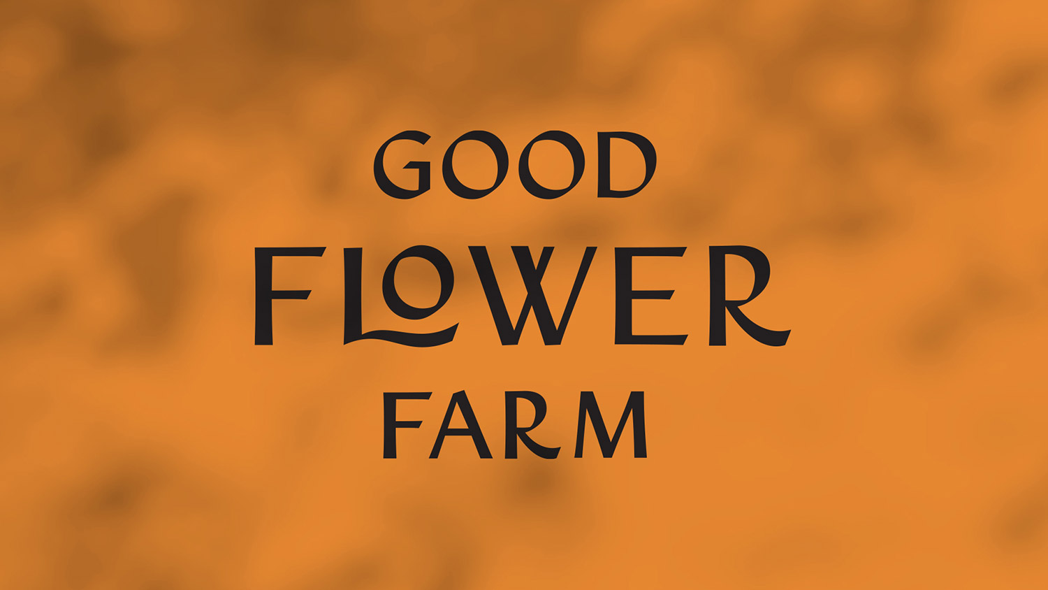 天然護膚品牌VI形象設計