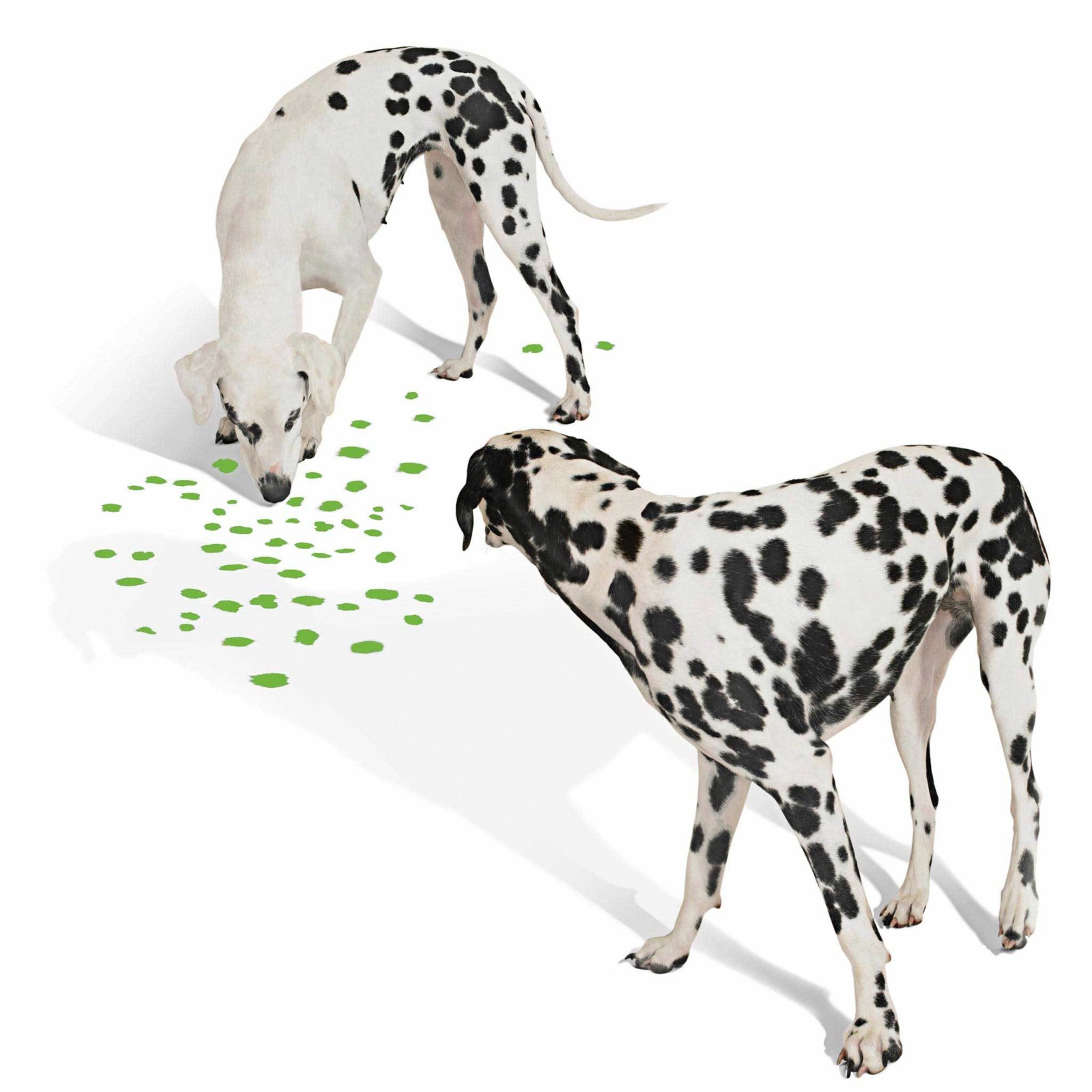 保險公司VI設計