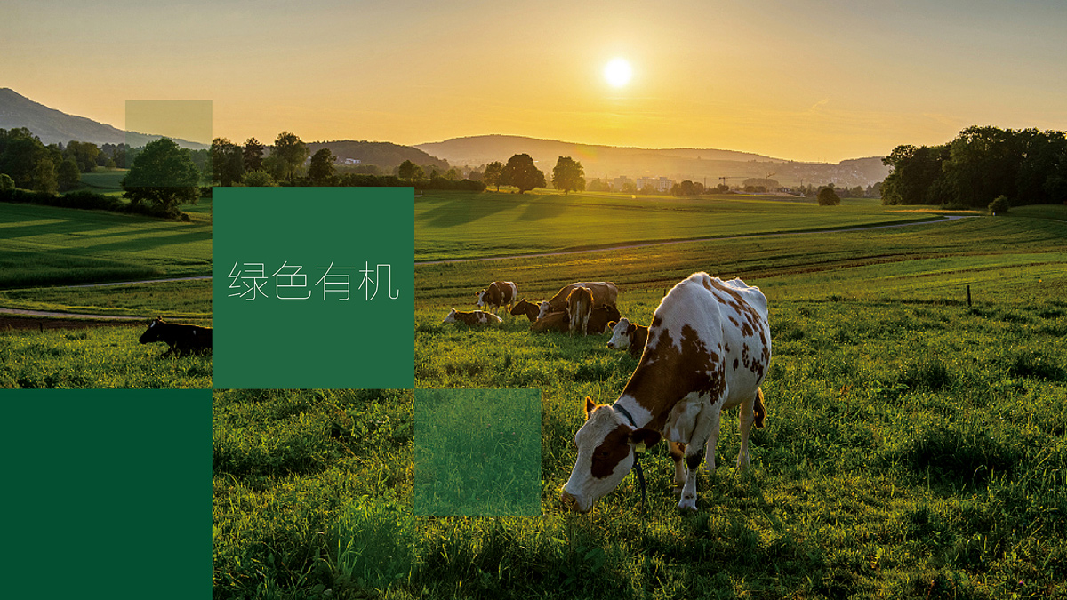 農(nóng)產(chǎn)品包裝設計