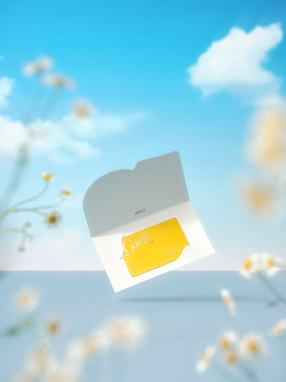 服裝會員卡設計