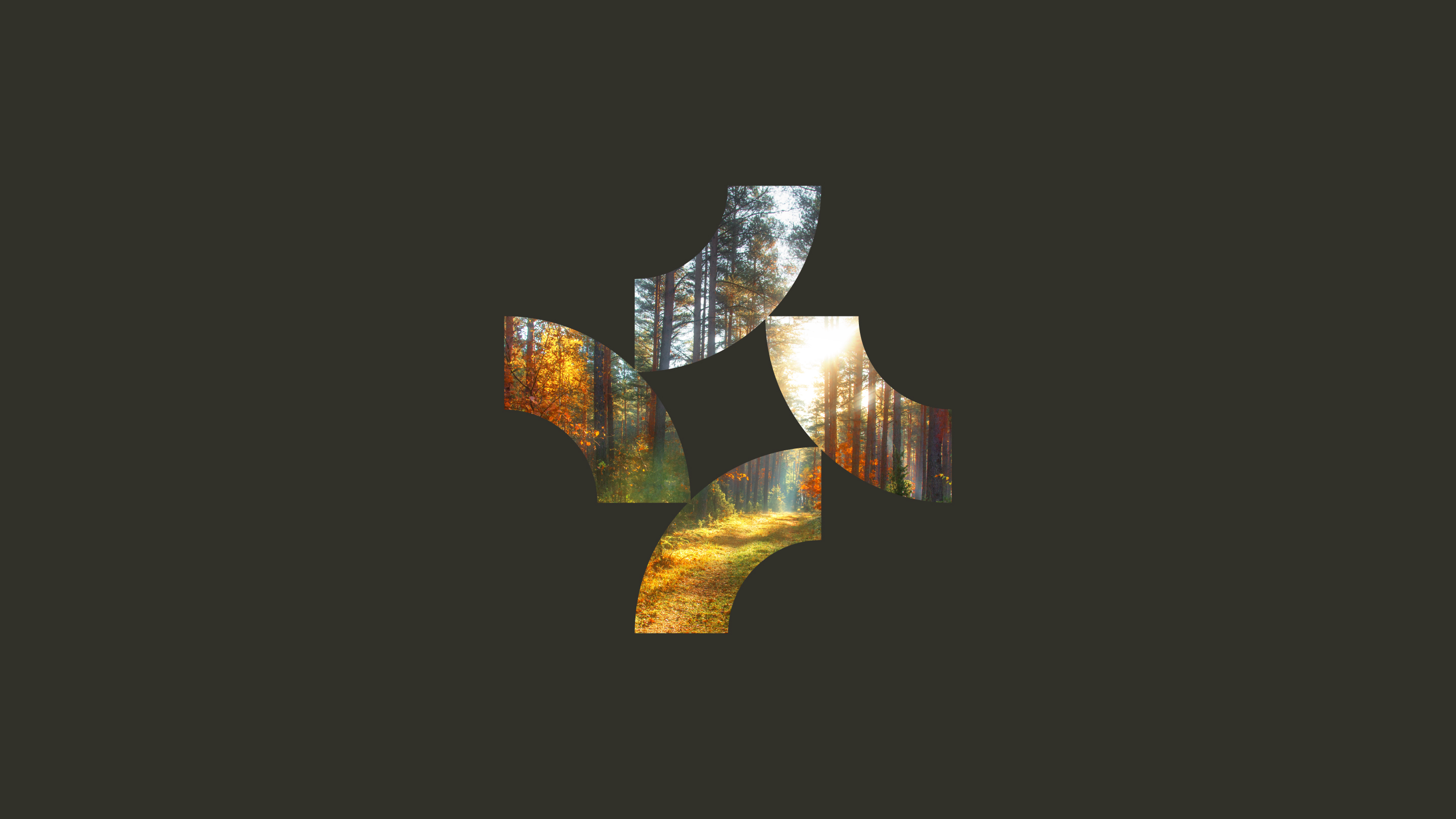 金融機構品牌VI設計