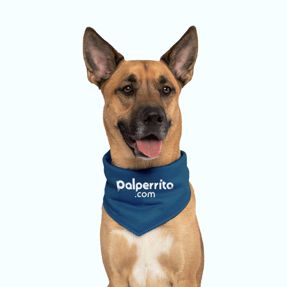 寵物品牌VI設計