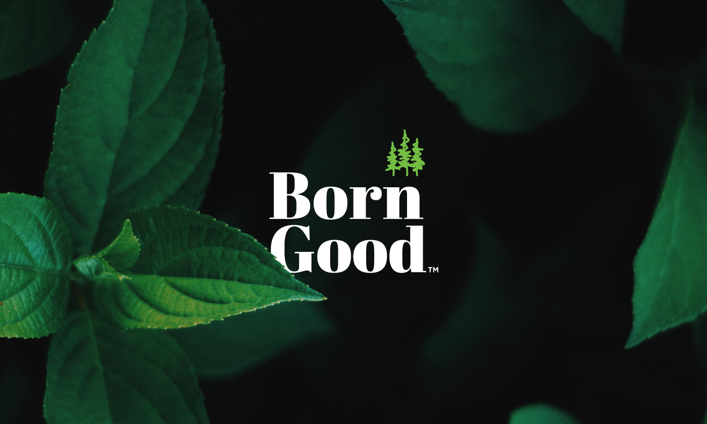 洗滌劑產品包裝設計