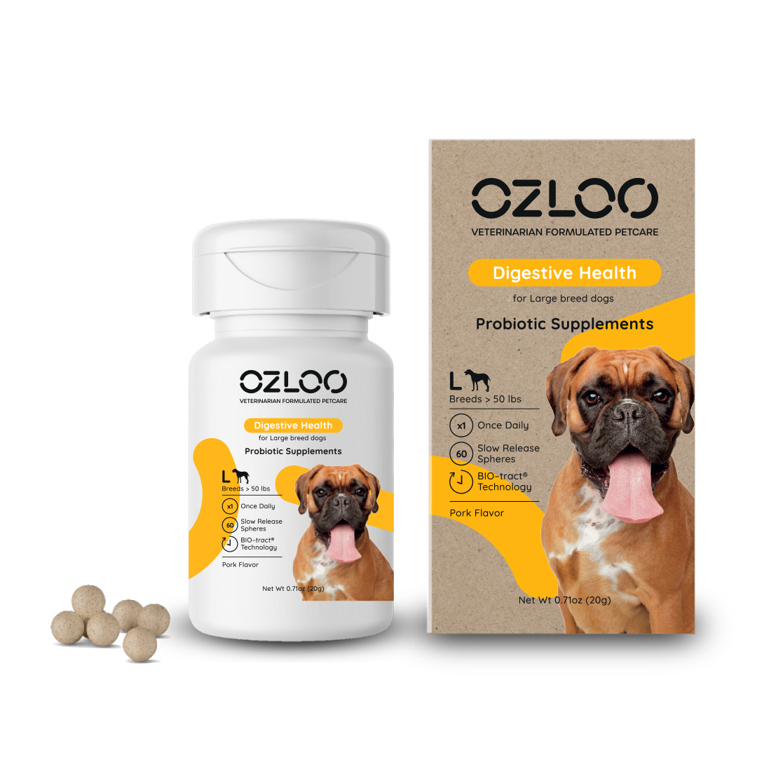 Ozloo 品牌形象