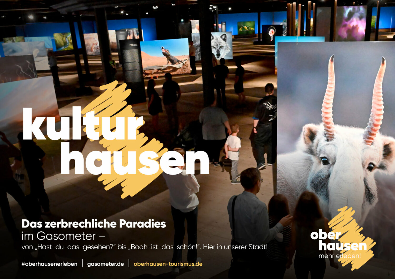 奧伯豪森 品牌形象