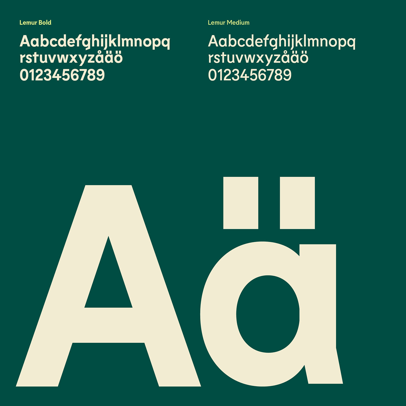 Eko 樹藝師品牌形象 Eko 樹藝師品牌形象