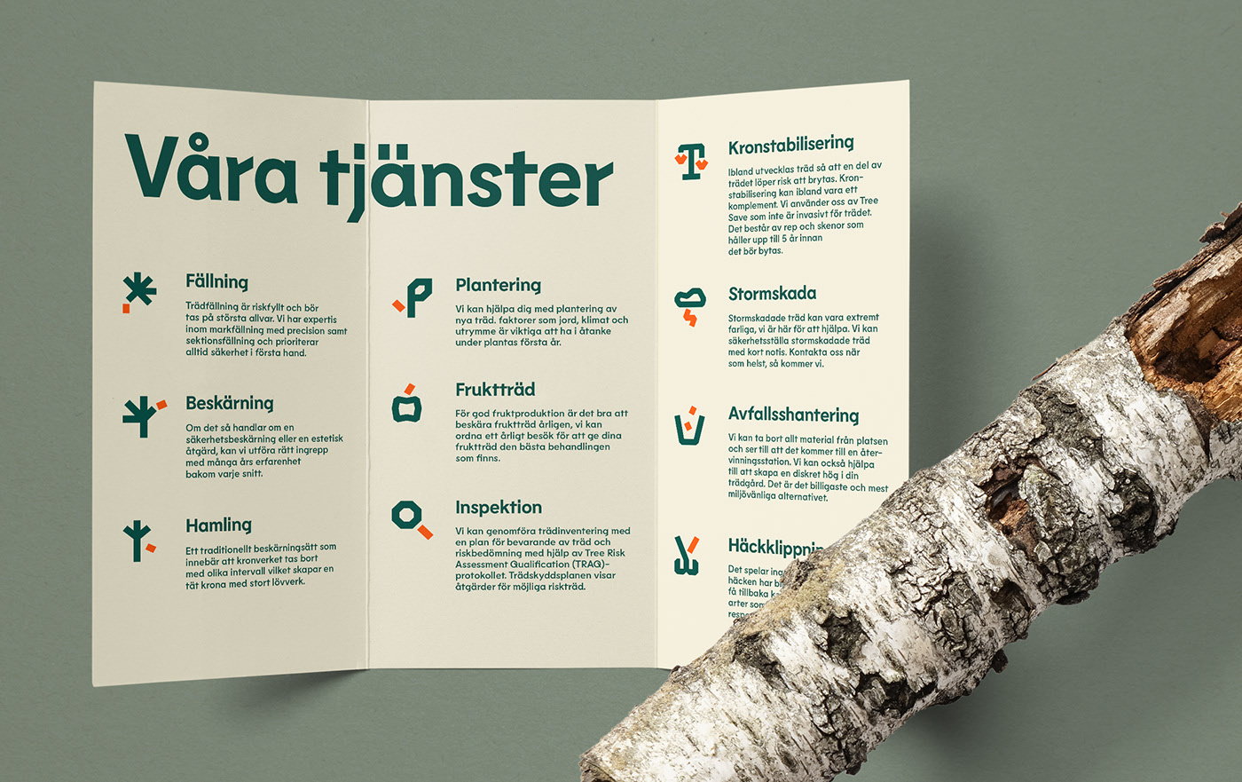 Eko 樹藝師品牌形象 Eko 樹藝師品牌形象