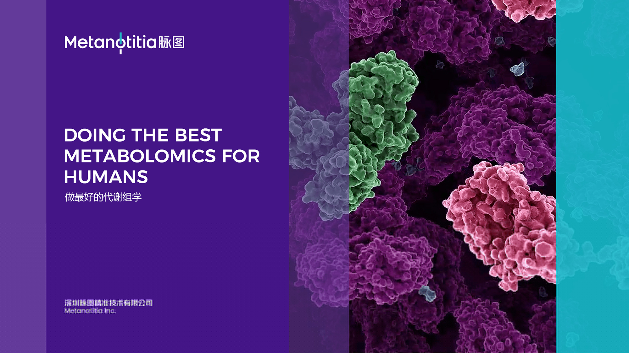 高端醫療品牌設計