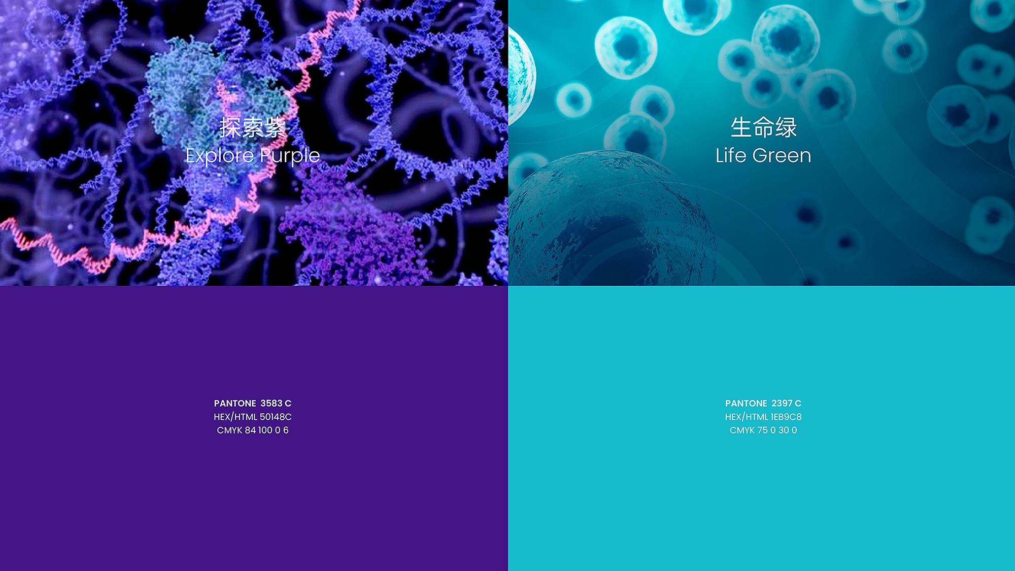 高端健康品牌形象設計