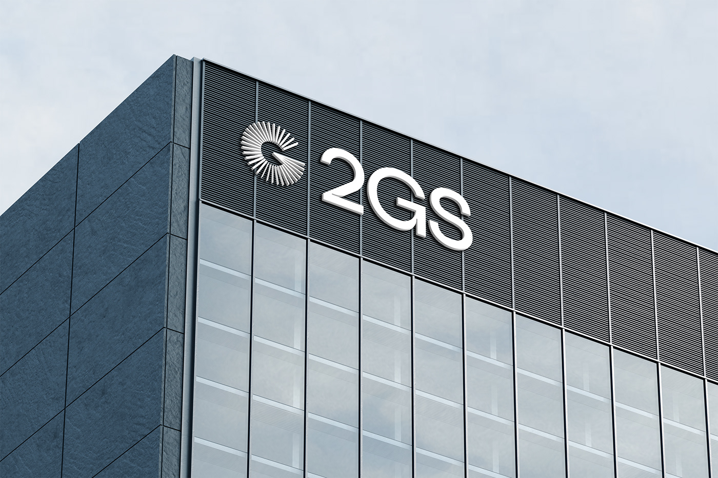 2GS 會計公司品牌LOGO應用