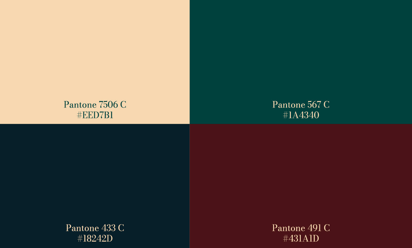 Asháninka 品牌色彩