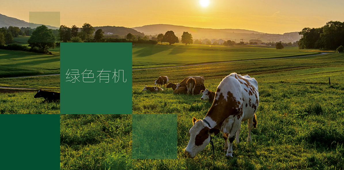 深圳廣告設(shè)計公司