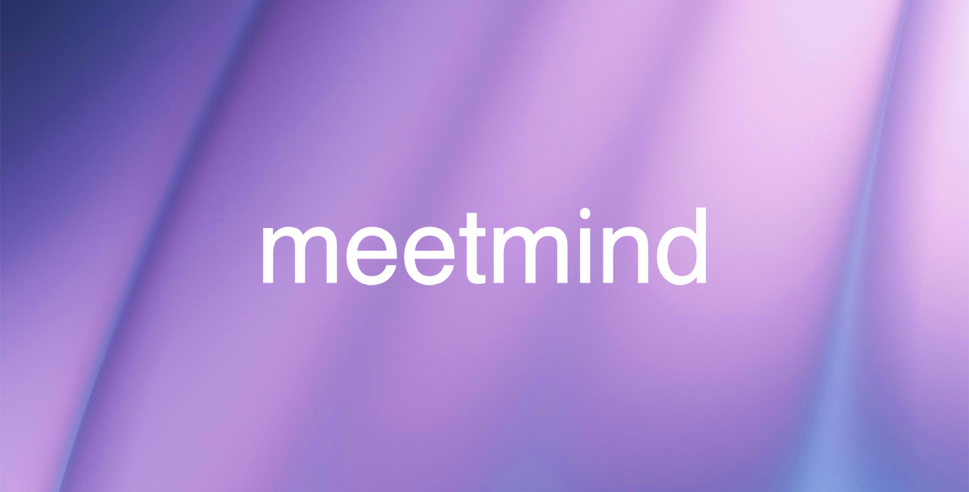 Meetmind 品牌標準字體