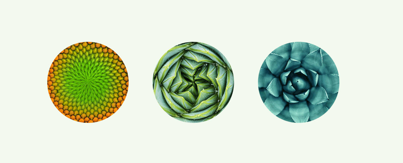 Alvor 品牌輔助圖形