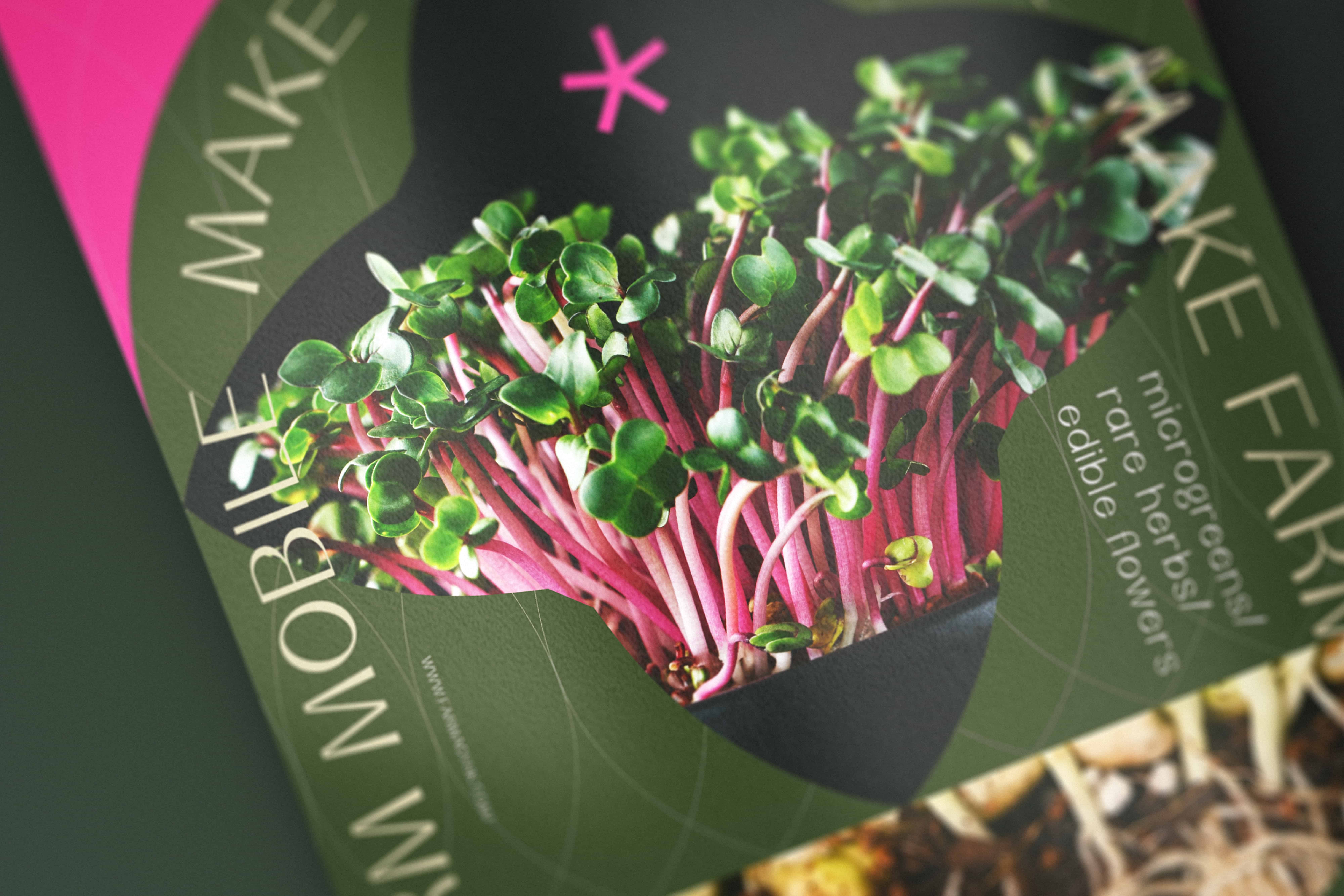 農(nóng)場(chǎng)品牌形象重塑